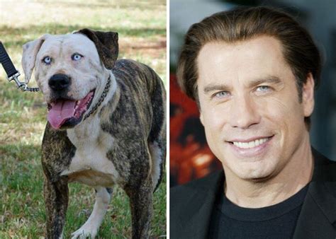 The Best Animal Celebrity Lookalikes Youll See Today
