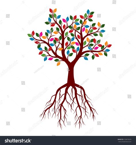Beautiful Tree Roots Color Leaves Vector Stock Vector