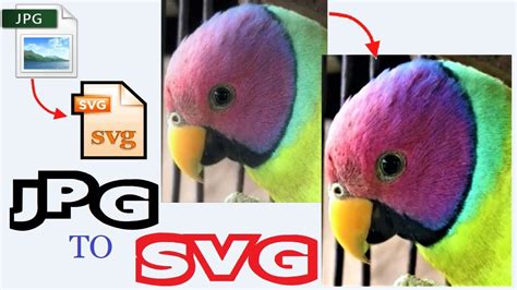  To Svg How To Convert Jpeg Image Into Svg Vector File Format