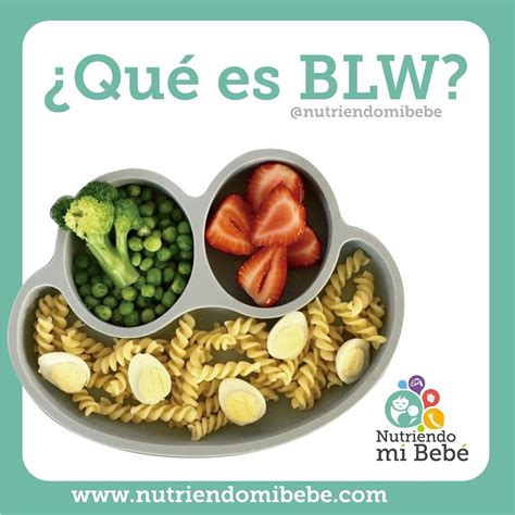 Qué es BLW Baby Led Weaning Alimentación Complementaria y BLW