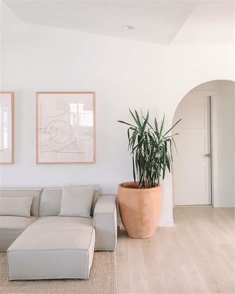 Image May Contain Plant Living Room And Indoor Interior Design