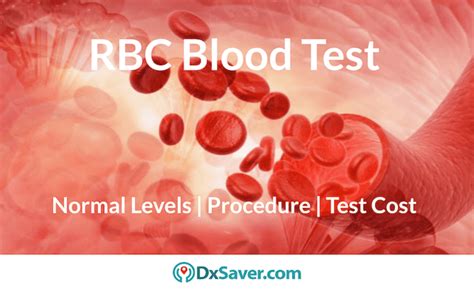 What Is Rbc Blood Test Know More About Normal Red Blood Cells Count