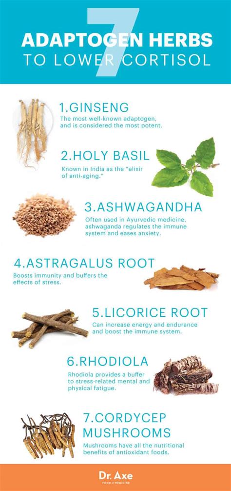 7 Adaptogen Herbs To Lower Cortisol Dr Axe