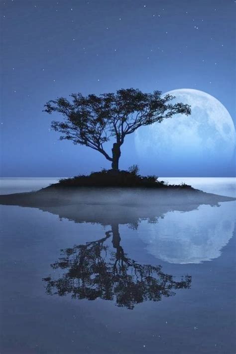 20 Amazing Reflections On Water Reflection Pictures Nature Wallpaper