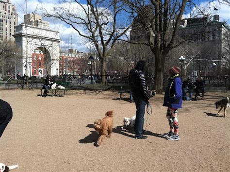 Will Best Best Dog Parks In Nyc