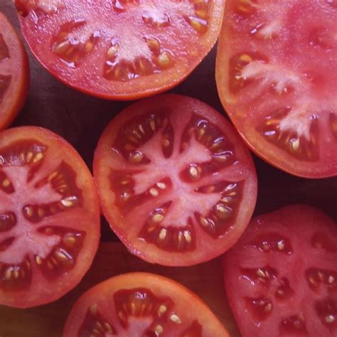Stupice is a popular, vigorous plant which yields abundant, early 3 to 6 ounce red fruit. Stupice Heirloom Tomato - urbantomato