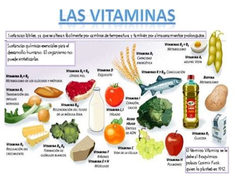 Las Vitaminas Para Sexto Grado De Primaria Pdf Vitamina Reverasite