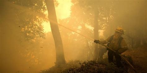 BPBD Catat Kebakaran Hutan Dan Lahan Di Riau Capai Hektare