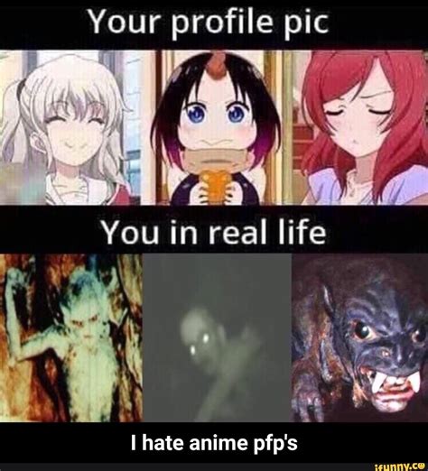 I Hate Anime Pfp S I Hate Anime Pfp S Ifunny