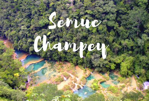 The Words Serruc Chappey Are In Front Of An Aerial View Of Trees And Water
