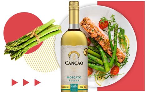 Shop the best and affordable wine coolers now! Vinhos Varietais - Vinhos Canção