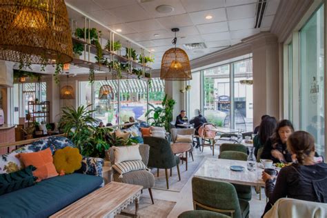 8 Cozy Coffee Shops And Cafes In Chicago Choose Chicago