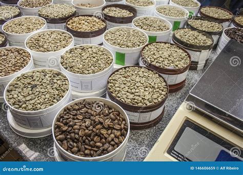 Samples Of Coffee Beans From Different Regions Of Brazil Editorial