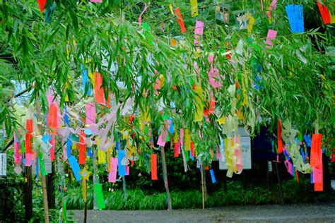 Sternenfest Tanabata Wenn Wünsche In Erfüllung Gehen Japandigest