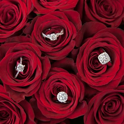 a dozen roses say “i love you” and diamonds say “forever” which one of these engagement rings