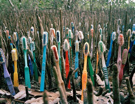 Artist In Mexico Collects Garbage Washed Up From 50 Countries To Create