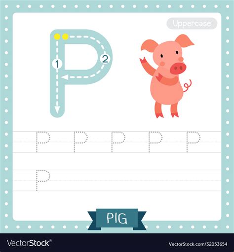 Letter P Uppercase Tracing Practice Worksheet Vector Image