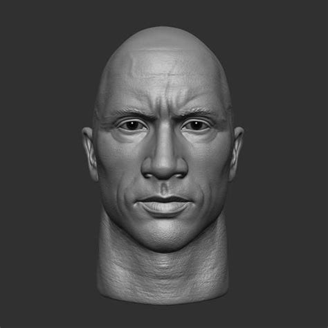 Dwayne Johnson Head Sculpt 3D Model 3D Printable CGTrader