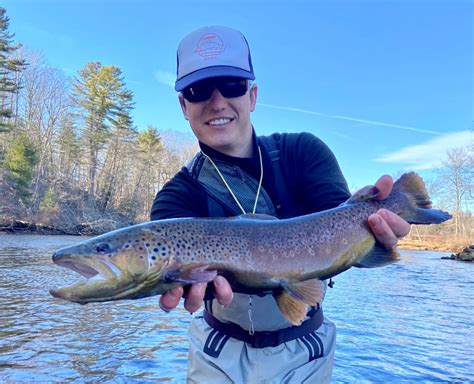 Best Trout Fishing Lakes In Maine All About Fishing