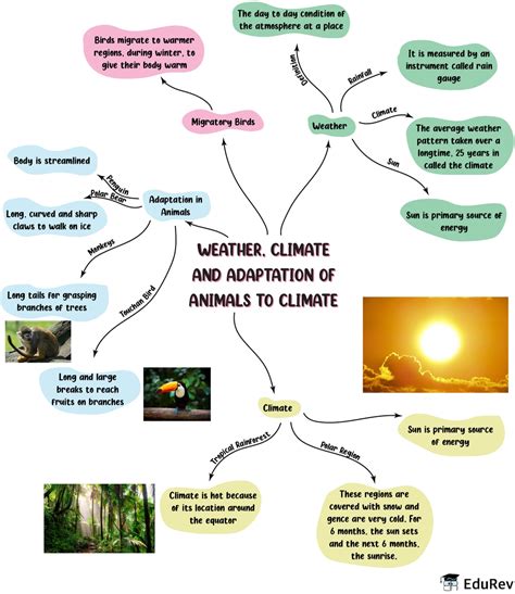 Mindmap Weather Climate And Adaptation Of Animals To Climate Notes