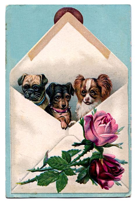 Vintage Clip Art 3 Dogs In An Envelope The Graphics Fairy