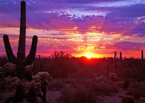 Phoenix Desert Sun Arizona Sunrise Desert Sunrise Sunrise Sunset