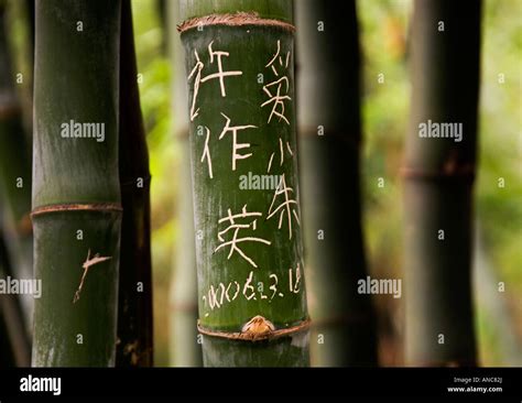 Chinese Bamboo Carving Stock Photo Alamy