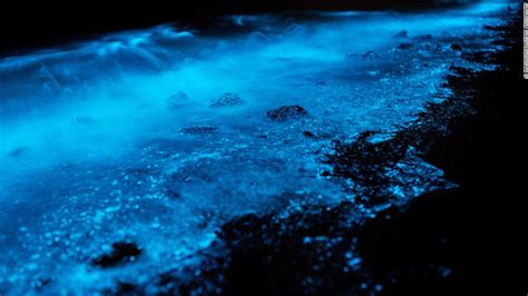 Bioluminescence Turns Australias Shores Bright Blue Cnn