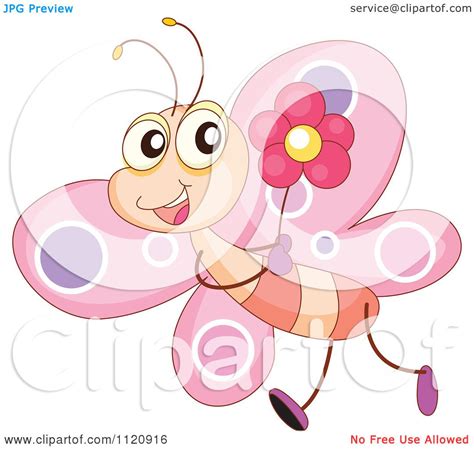 Cartoon Of A Cute Pink Butterfly Carrying A Flower