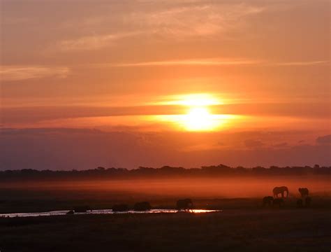 In The Shadows Of Dusk As Evening Falls In Africa I Am Al Flickr