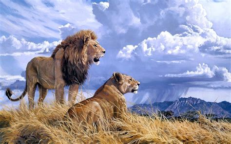 Lion Mountains Clouds Animals Wallpapers Hd Desktop And Mobile