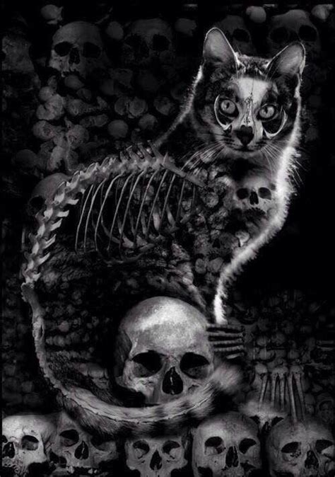 Pin By Sara Pagani On Gothicandfantasy Cat Art Cat Skeleton Art