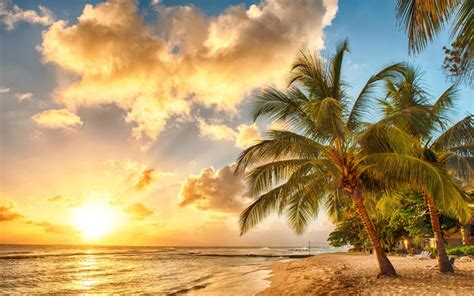 Tropical Paradise Beach Palms Sea Ocean Sunset Wallpaper Beach Wallpaper Better