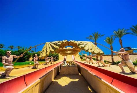 Sharm Dreams Resort En Sharm El Sheij Destinia