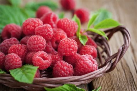 Nutrition Facts About Raspberries Food Gardening Network