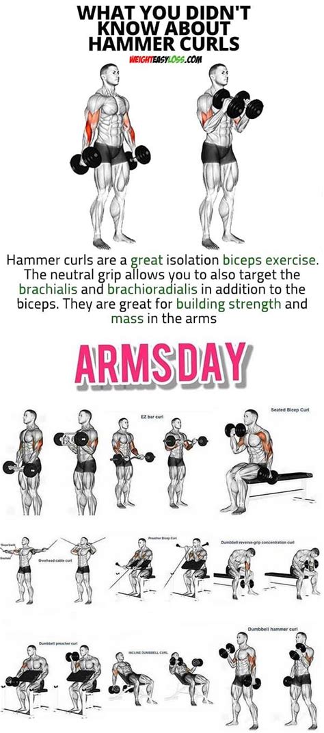 Arm Day Workout Arm Day Workout Workout Plan Gym Arm Workout Men