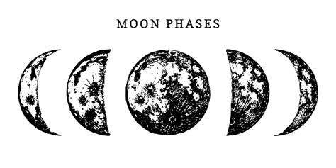 Moon Phases Image On White Background Hand Drawn Vector Illustration Of