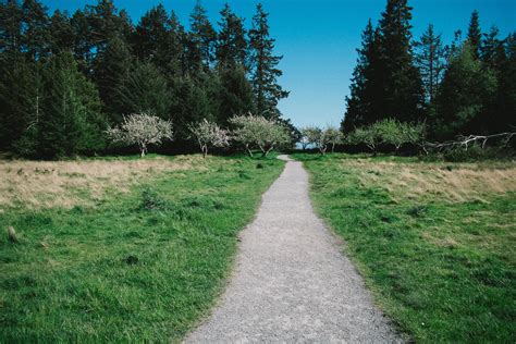 Free Images Landscape Tree Path Pathway Grass Outdoor Trail