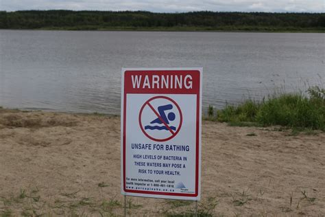 Lianne catton, medical officer of health for the porcupine health unit, has continued to advocate for increased moderna vaccine supply. Porcupine Lake contaminated with e-coli, health unit ...