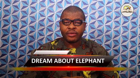 Maybe you would like to learn more about one of these? BIBLICAL MEANING OF ELEPHANT IN DREAM - Find Out The ...