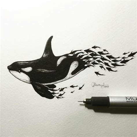 Whale Sketch Orca Art Whale Art Pen Art