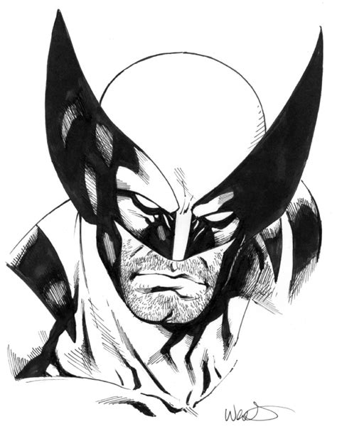 wolverine in kevin west s sketches comic art gallery room