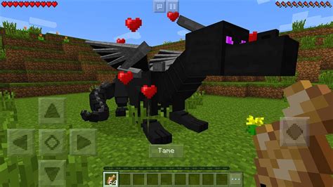 The only place the ender dragon naturally spawns is in the end. Minecraft ender dragon mod download > 2016RISKSUMMIT.ORG