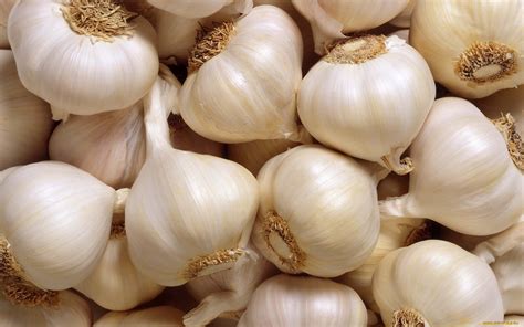 Garlic HD Wallpaper | Background Image | 1920x1200