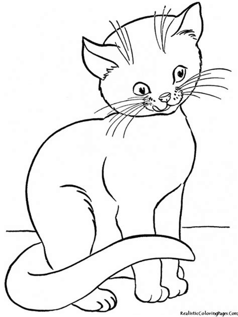 Realistic Cat Coloring Pages Printable Sketch Coloring Page