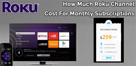 Unfortunately, some providers make it difficult (or even impossible) to determine what the cost is until you've set up an account and provided them with contact information. How Much Does Roku Channel Cost For Monthly Subscriptions?