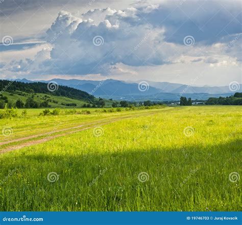 Meadows And Clouds Stock Image Image Of Yellow Green 19746703