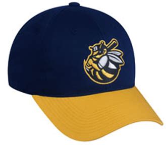 Oc Sports Milb Burlington Bees Baseball Cap Closeout Sale Fan Gear