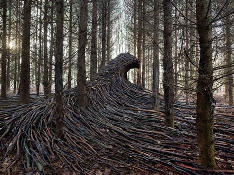 this german artist hid 9 giant dead wood waves in the woods of hamburg amazing nature