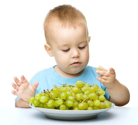 Comer Uvas Es La Tercera Causa De Asfixia En Menores De Cinco Años Noticiasnet Informacion